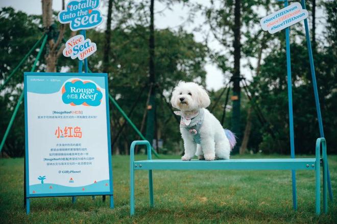 “世界级中轴线”承包你所有“未来想象”!PG电子麻将胡了模拟器未来是什么样?这条(图8) “世界级中轴线”承包你所有“未来想象”!PG电子麻将胡了模拟器未来是什么样?这条(图8)