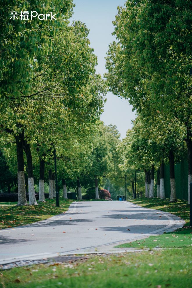 “世界级中轴线”承包你所有“未来想象”！PG电子麻将胡了模拟器未来是什么样？这条(图6)