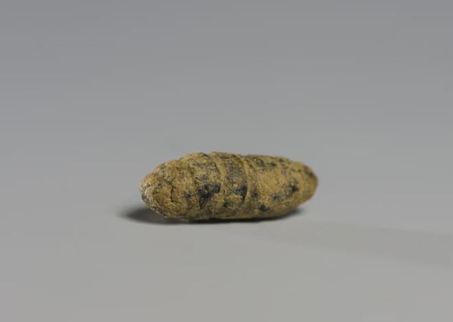 长声名远扬！其中一位说：“见义勇为者请进来关说词讼者滚出去”…麻将胡了2试玩网站大同有处“新生”的“县长大院”因两位民国县(图7)